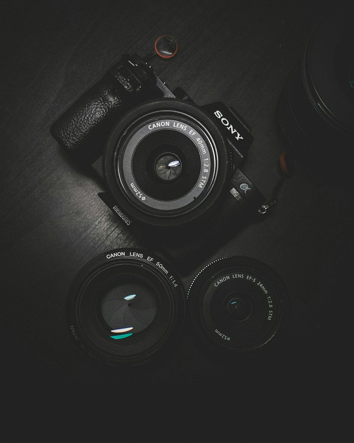 Camera Strap